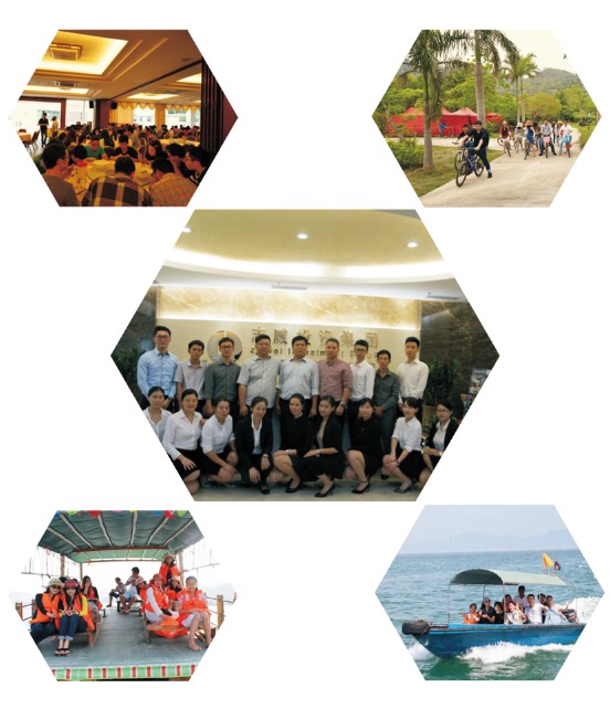 深圳志威投資集團專業(yè)團隊